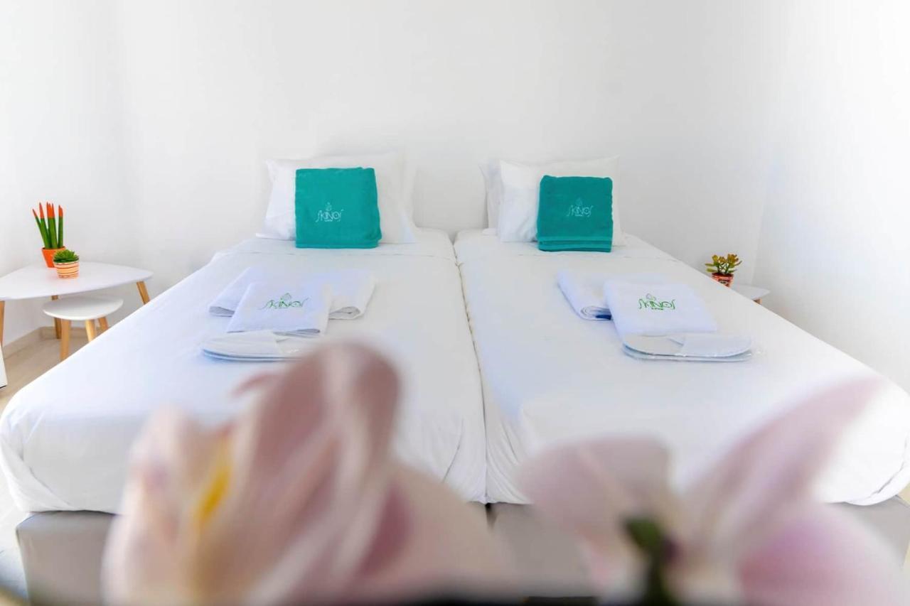 Skinosummer Apartment Paralia Agias Foteinis